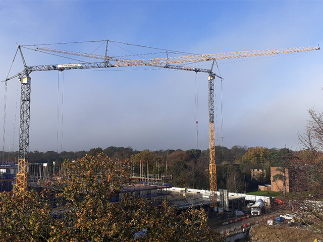 self erecting tower cranes