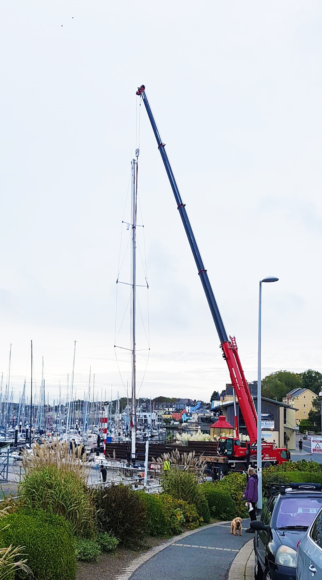 Sparrow crane lifting mast