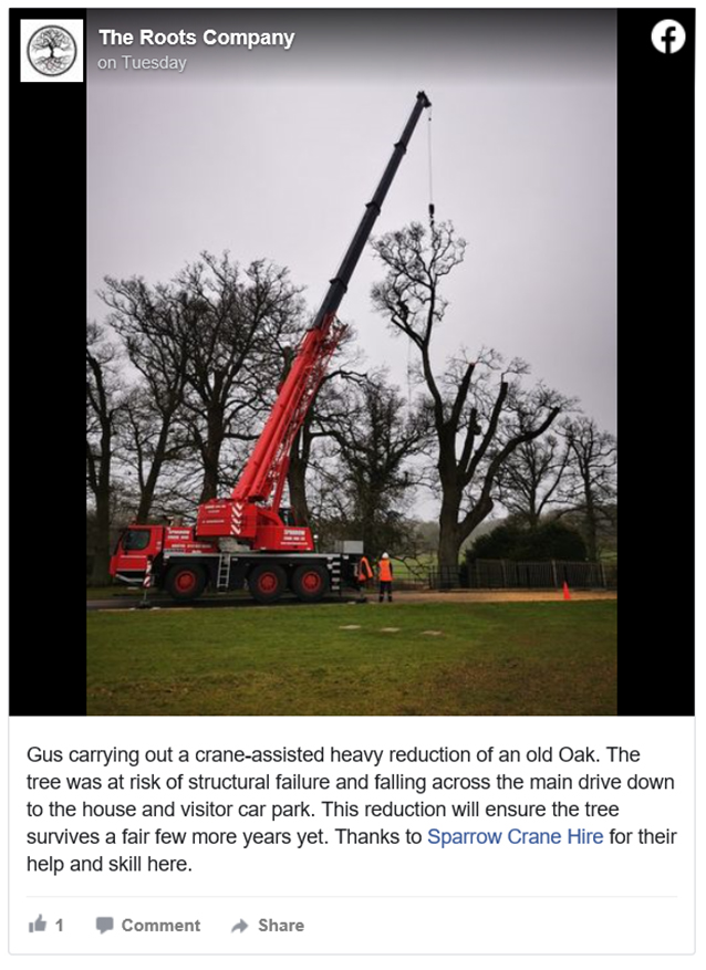 sparrow crane assists roots company