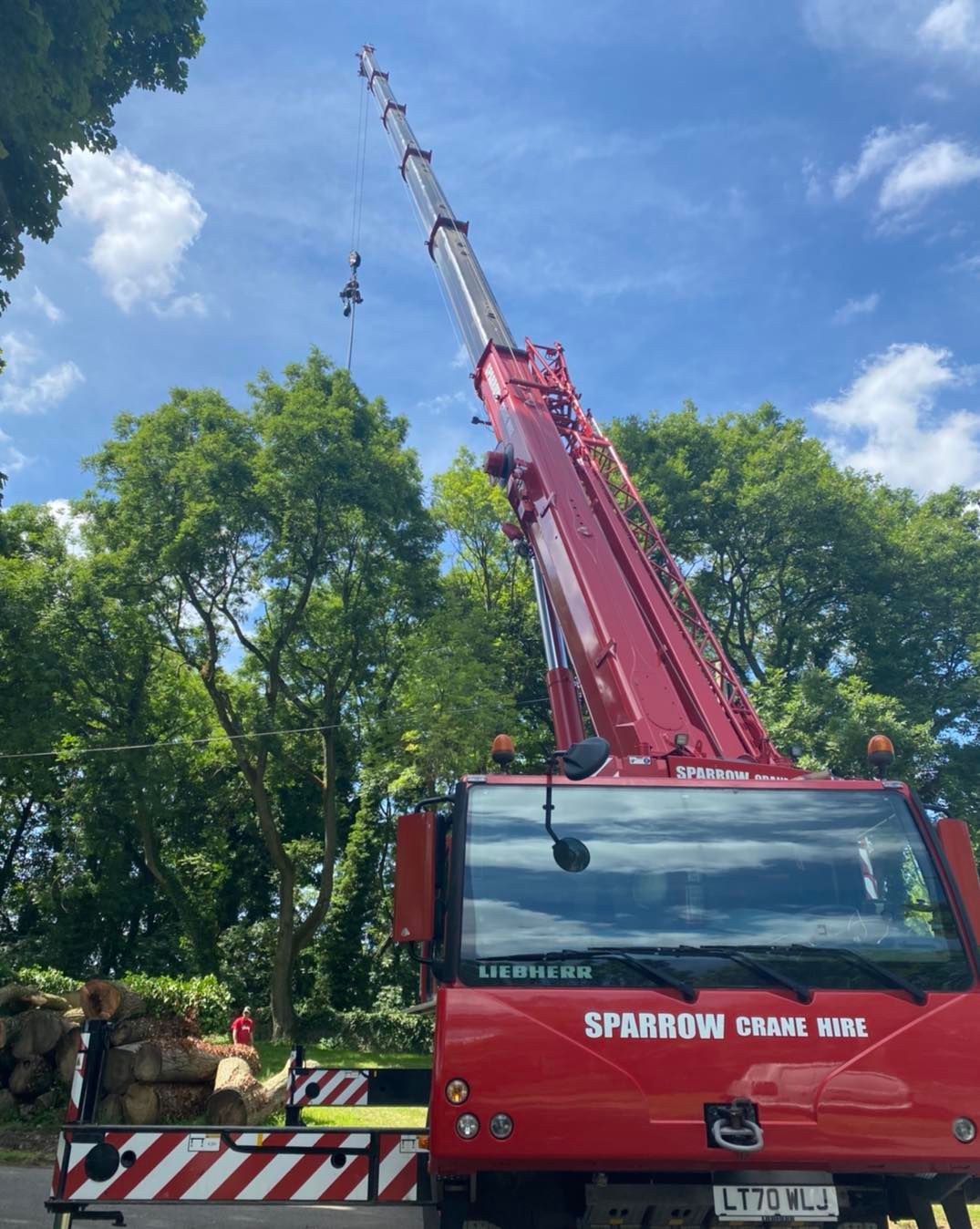 Crane Tree Removal Sparrow Crane Hire