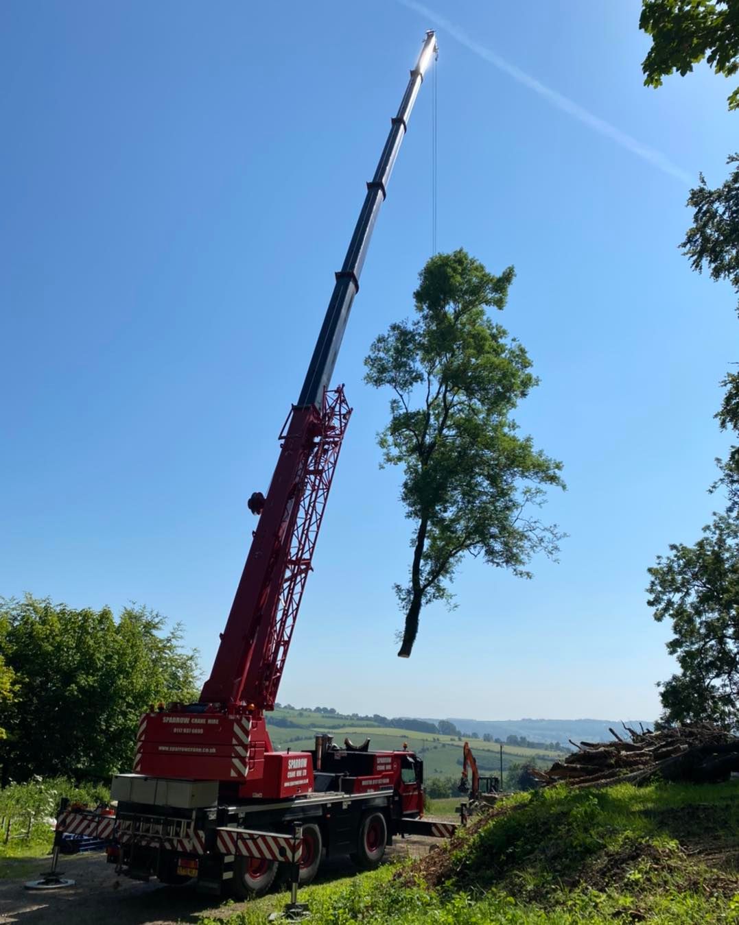 Crane tree removal in Cleeve Hill, Cheltenham