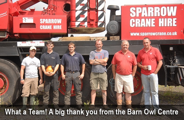 team of tree removal