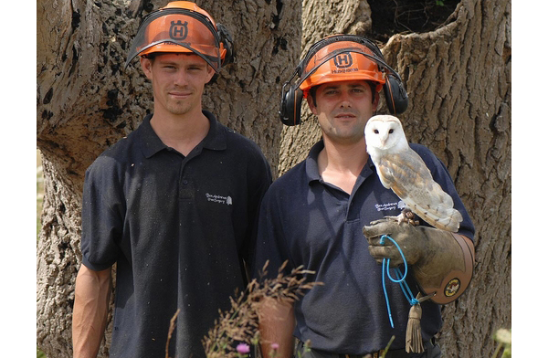tree surgeons
