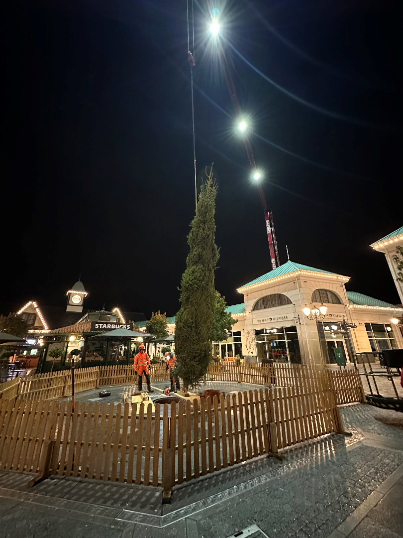 McArthur Glen Designer Outlet Christmas